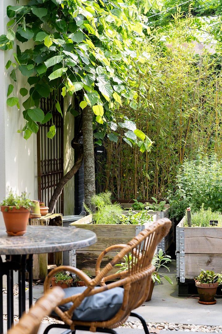 Horeca fotografie - Bogé